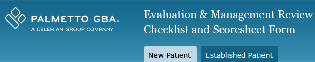 Evaluation & Management Review Checklist and Scoresheet Form