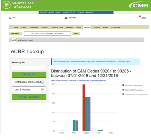 eCBR Lookup New Patient Office Visits Screen Display
