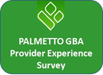 Palmetto GBA Provider Experience Survey